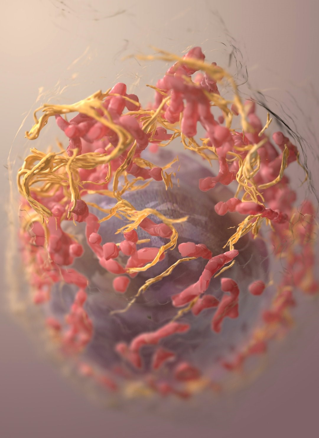 ATM-mutation symboliseret ved rosafarvede celler med strenge