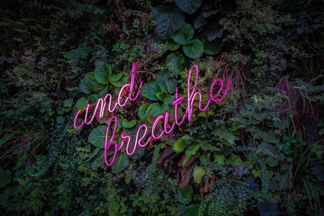 Buteyko-metoden symboliseret ved billede af blomster, tæt som bunddække og med diskret rosa neontekst henover der lyder: and breathe.
