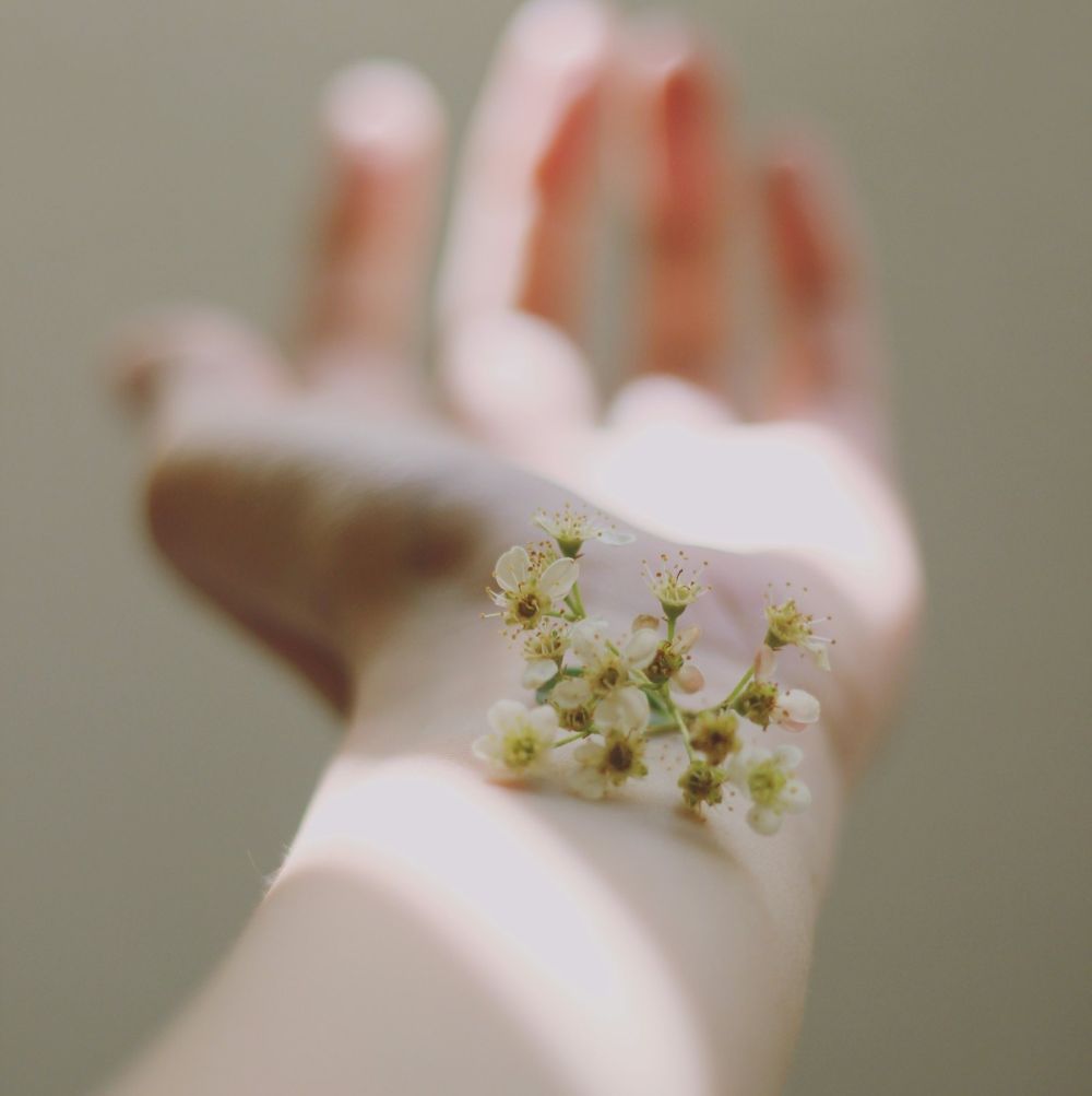 Hudreaktioner symboliseret ved udstrakt underarm, hvor der ligger en lille skærm af hvide blomster med stilk.
