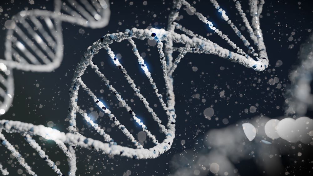 APC – mutation – og kræft