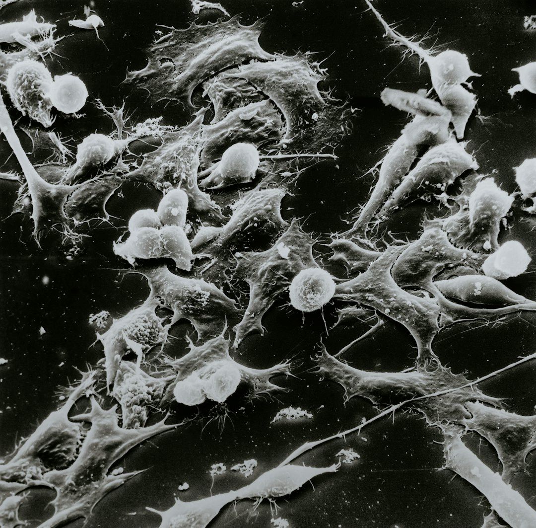 dMMR-mutation symboliseret ved hvide celler på sort baggrund.