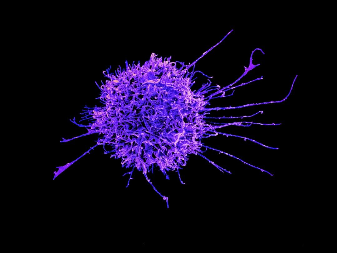 Immunsystemet og kræft. Immunforsvaret. Immunrespons.