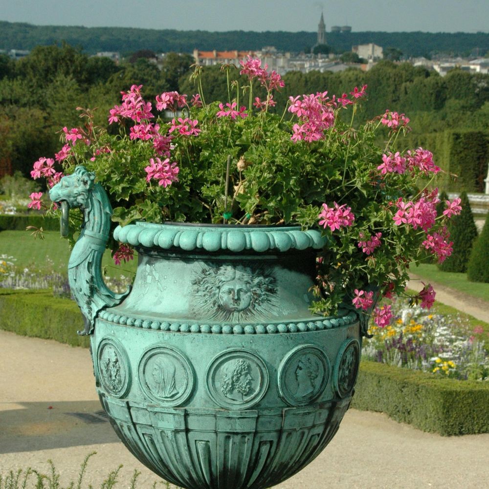 Urin inkontinens symboliseret ved irgrøn krukke med vilde lyserøde blomster i forgrunden. Bagtil udsigt over grønne områder og vand.