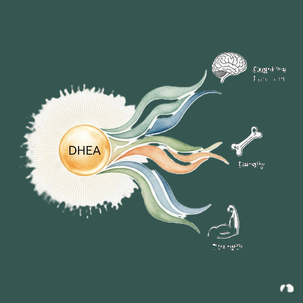 DHEA symboliseret ved En cellestrukturaftig kugle med teksten DHA og nogle farvede flammer ud derfra. Den ene til en hjerne, den anden til knogler og den tredje til en arm/muskulatur. Grønlig baggrund.