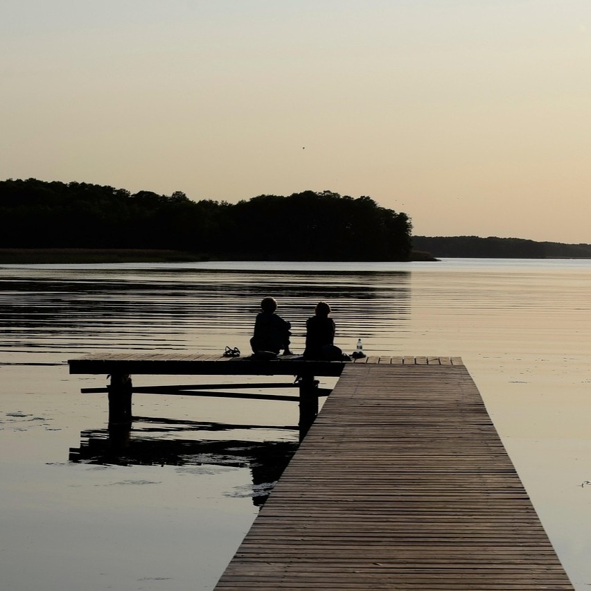 Pårørende symboliseret ved to mennesker der sidder med ryggen til på en badebro og ser ud over en grå sø og grå sort bevoksning i baggrunden. Kun badebroen har farve i dæmpet beige.