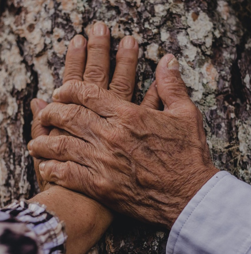 Pårørende symboliseret ved en ældre mandehånd, der ligger kærligt over en ældre kvindehånd, der hviler på barken fra en træstamme.