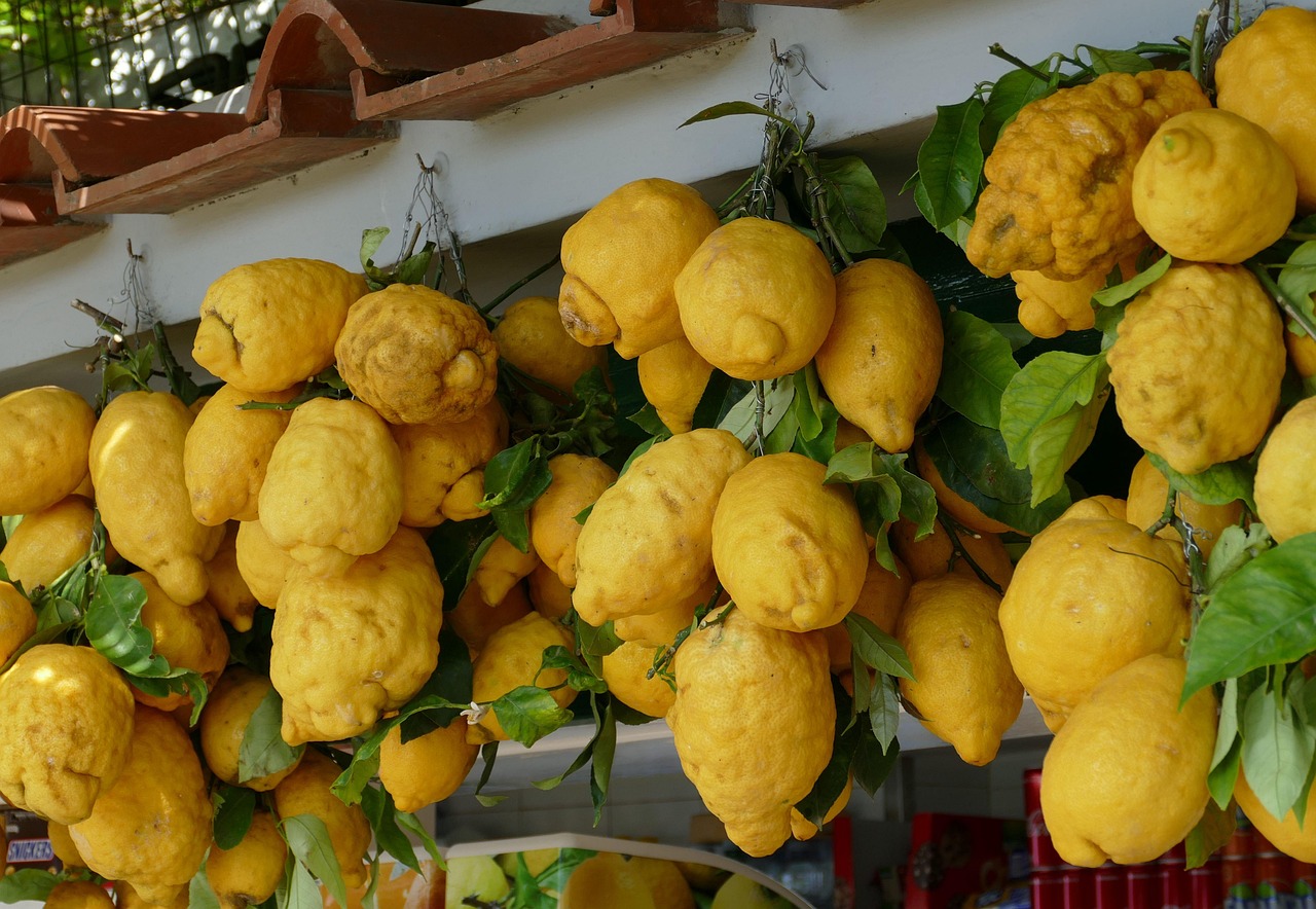 Vitamin-C oralt symboliseret ved en masse citroner der hænger i klaser.