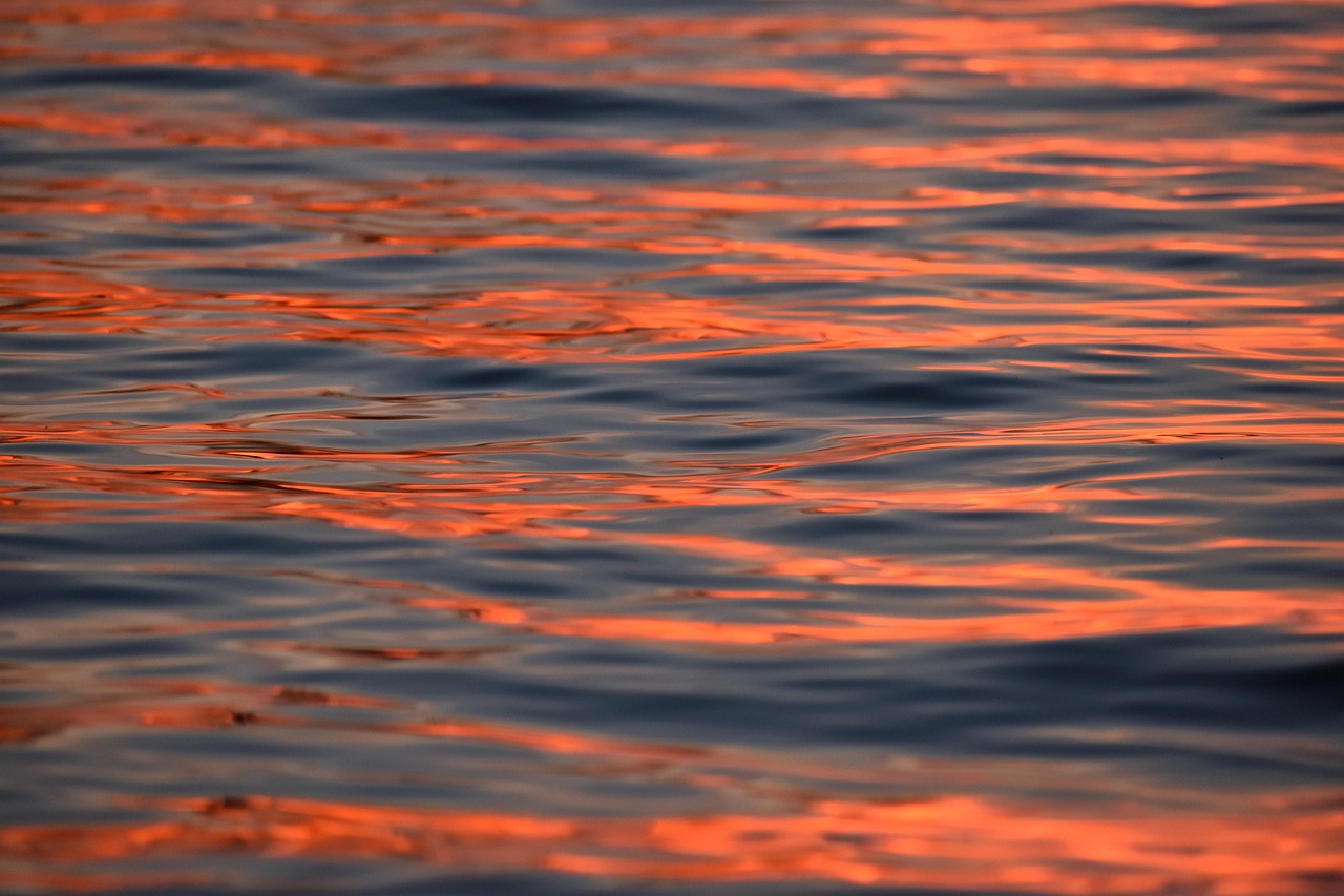 Blodpropper symboliseret ved hav med gyldne strenge fra solrefleks.