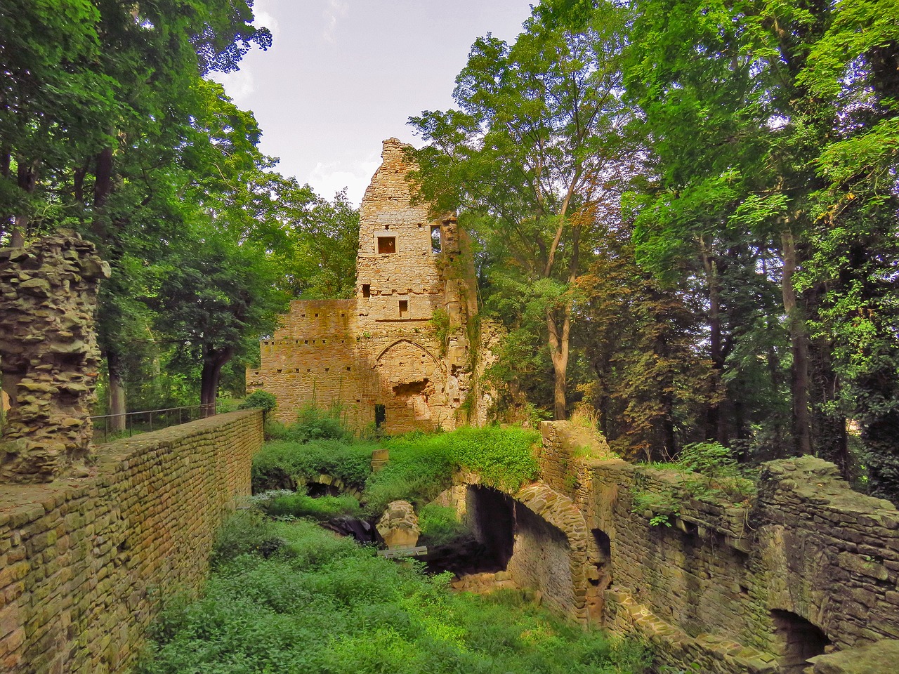Hildegard von Bingen illustreret ved billede af klosterruinen med grønt voksende i og omkring denne.