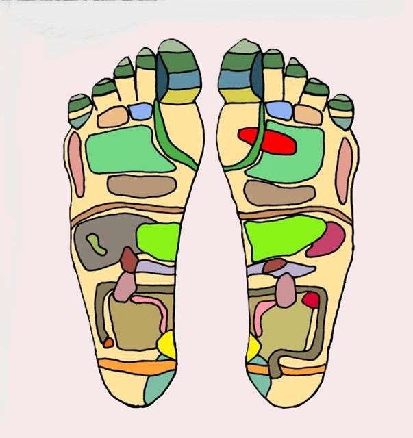 Zoneterapi symboliseret ved skitse af de forskellige zoner vist i farver under fødder.