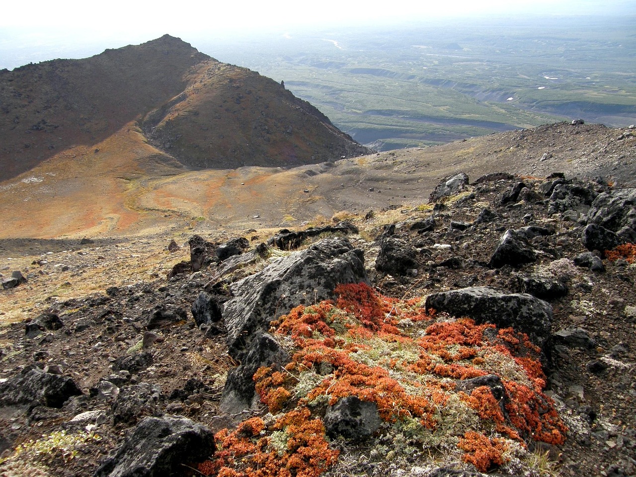 Detox symboliseret ved et bjerglandskab, hvor der er orange mosarter på de nøgne klipper i forgrunden.