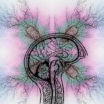 Metaboliske strategier symboliseret ved skitse af hjerne med rygsøjle og neuroner stikkende ud fra 4 sider med følenerver. Sarte farver i rosa, lyseblå og hvid.