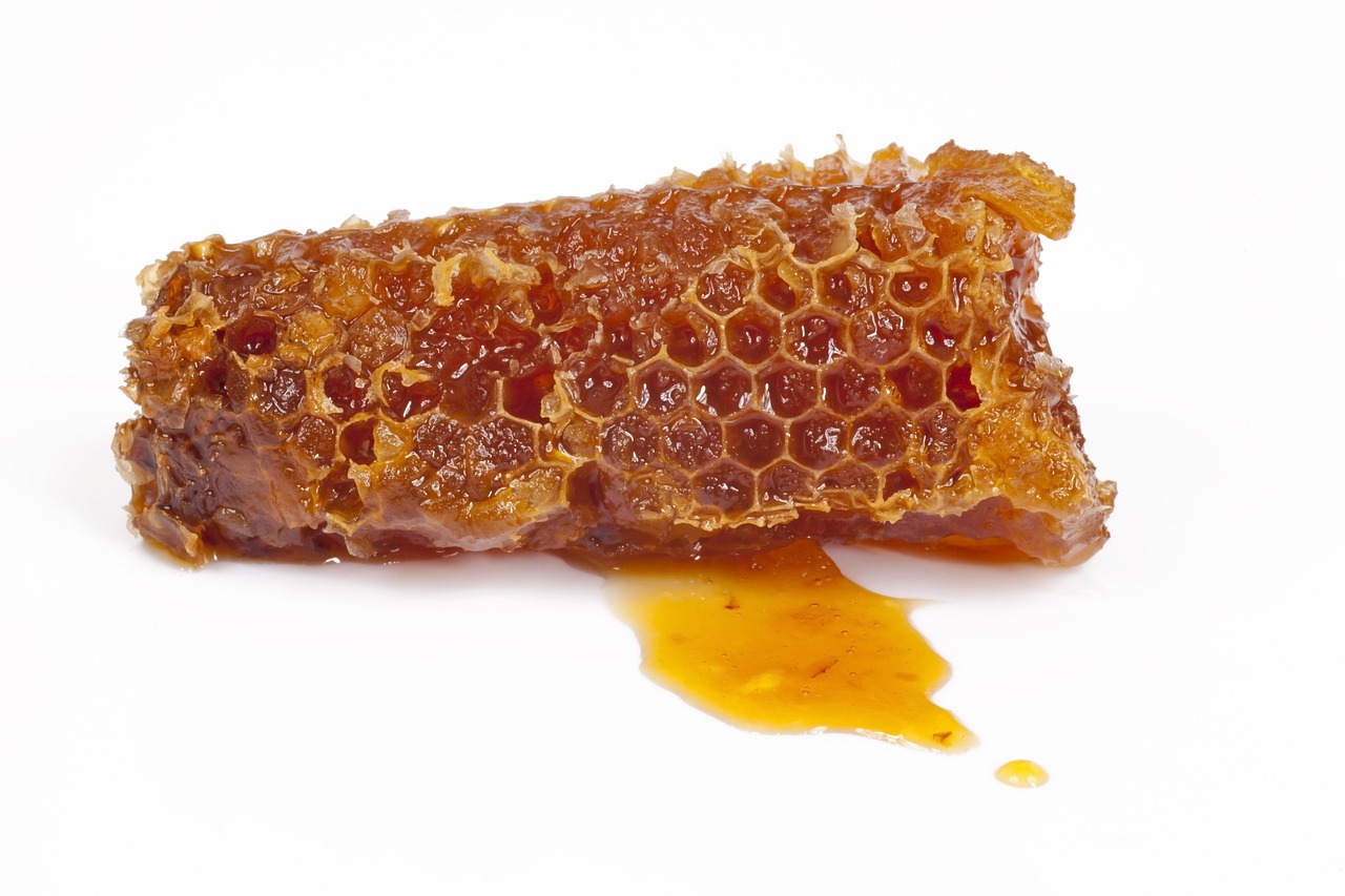 Propolis symboliseret ved et stykke af en vokstavle, hvor honning flyder ud af.