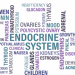 Metabolisk strategi ved Binyrebarkkræft symboliseret ved et mønster af skrift i forskellige farver. Der står ord som Endocrine system, Glands, Ovaries, Mood, Thyroid, mm.