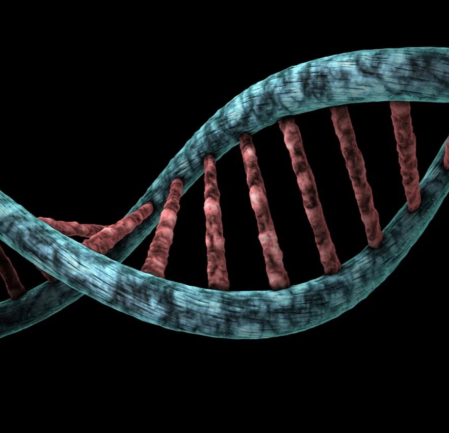Diagnose symboliseret ved mikroskopifoto af gentråd i blå og røde farver på sort baggrund.