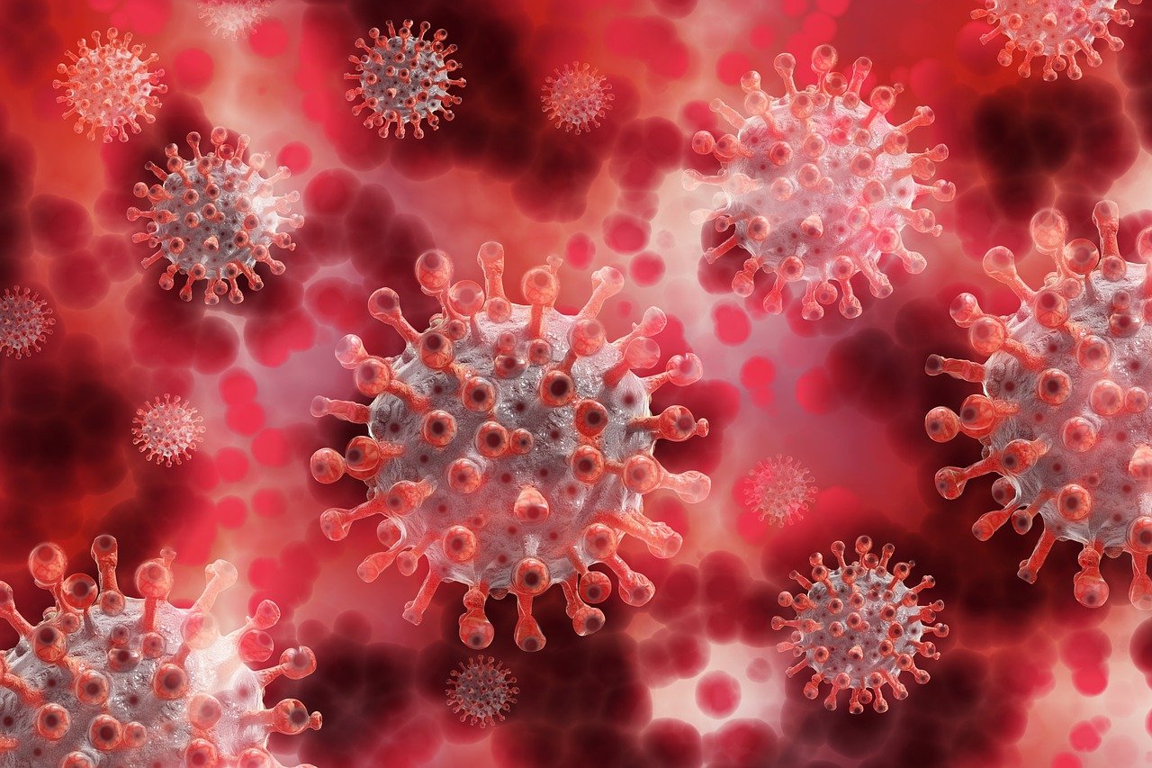 Guide til sitet - styrk immunforsvar symboliseret ved mikroskopisk billede af bakterier i røde nuancer.