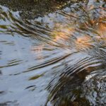 Guide til sitet symboliseret ved vandoverflade med strømning.