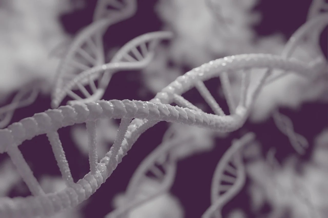 Vaginalkræft symboliseret ved hvide DNA-strenge på lilla baggrund.