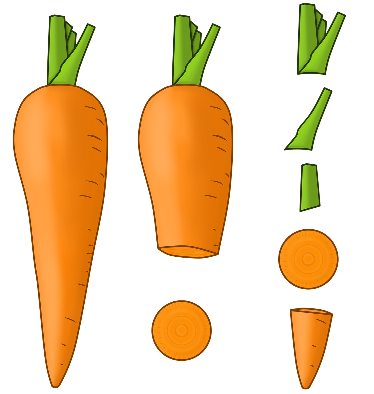 Vitamin A symboliseret ved tegning af gulerod der er hel til venstre, delvist skåret op i midten og kun spidsen og stilk til højre. hvid baggrund.