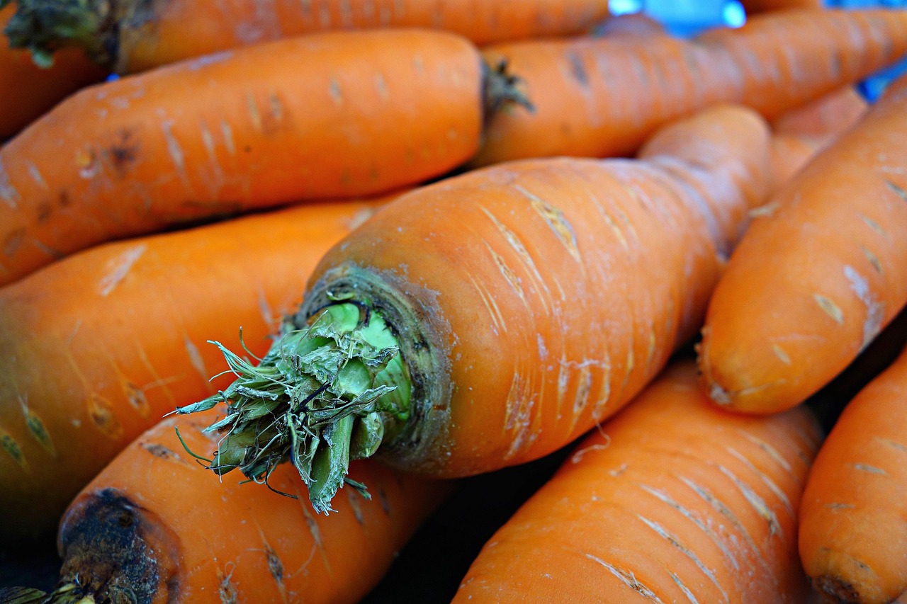 Vitamin A symboliseret ved nogle rå gulerødder.