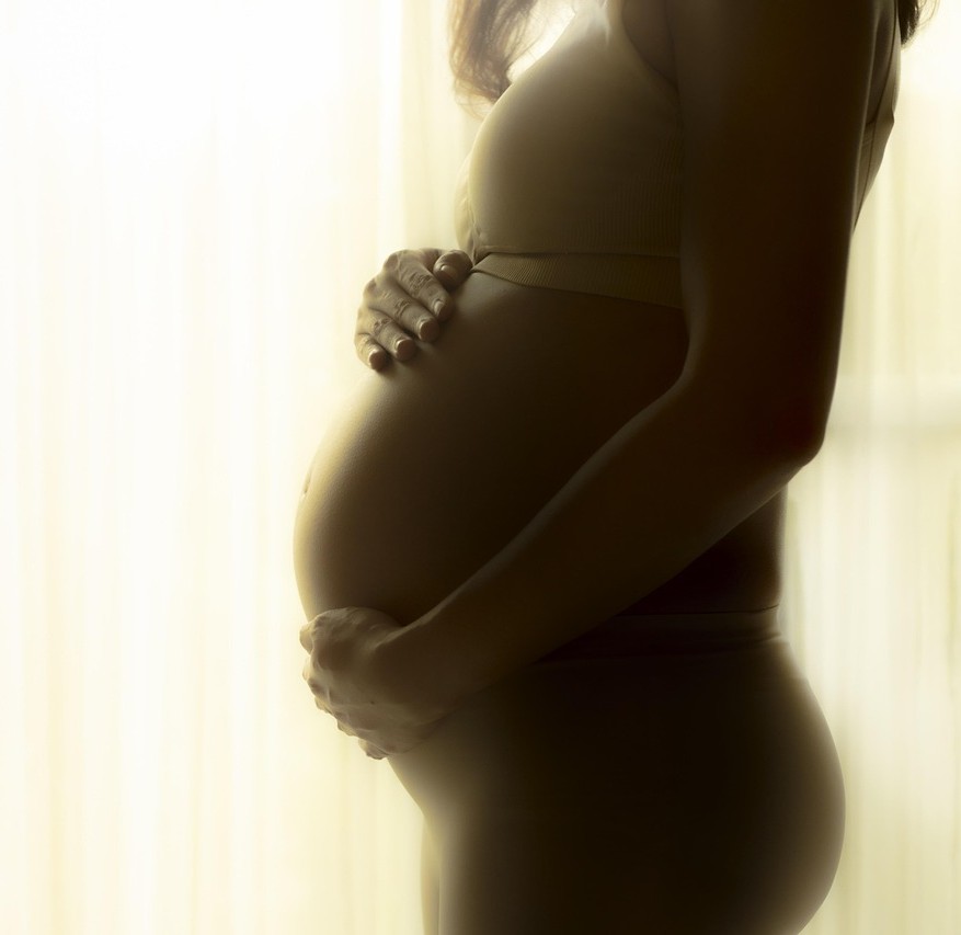 Fertilitet-frugtbarhed symboliseret ved silhuet af gravid kvindes torso. Hvid baggrund.