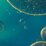 Myelomatose eller knoglemarvskræft symboliseret ved et blåt billede med nogle celler i forskellig størrelse.