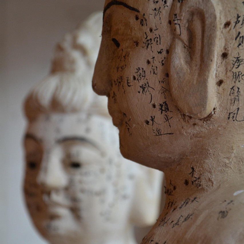 TCM behandling symboliseret ved to gips buster med en masse akupunkturpunkter indtegnet.