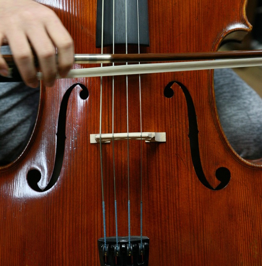 Paradokset symboliseret ved del af en violin og en der spiller på den.