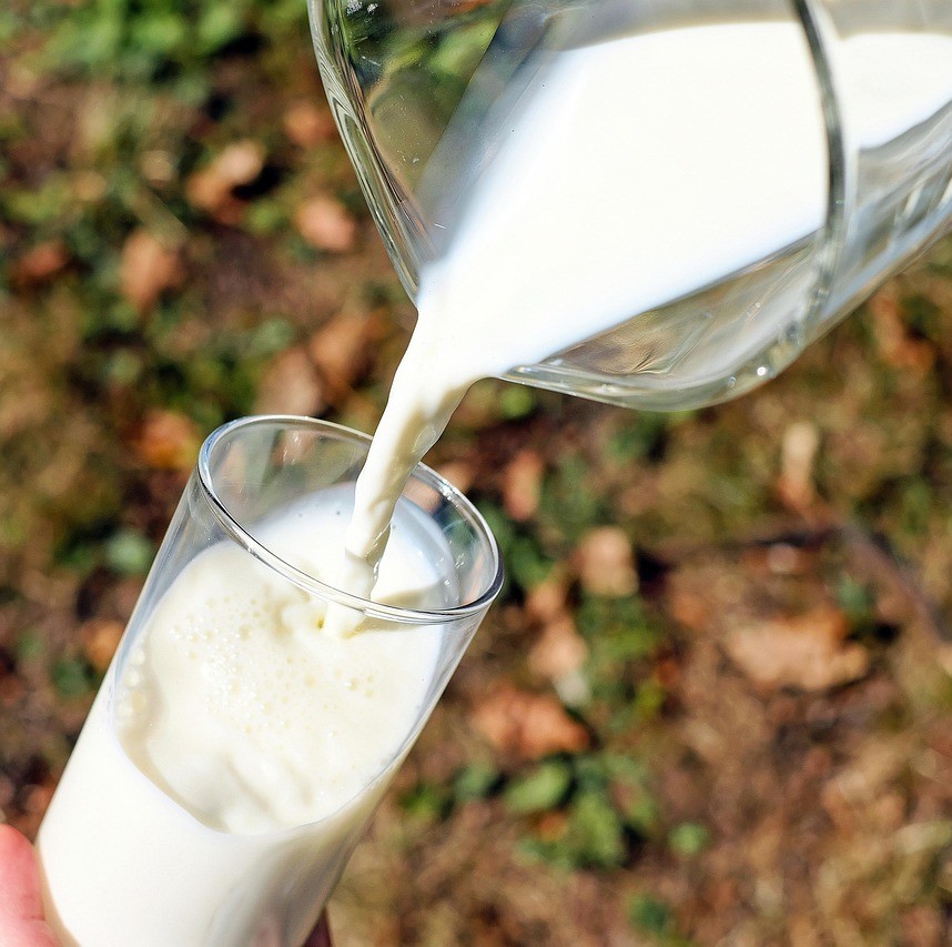 Mejeriprodukter og kræft symboliseret ved mælk der hældes op i et klart glas. Grøn natur som baggrund.