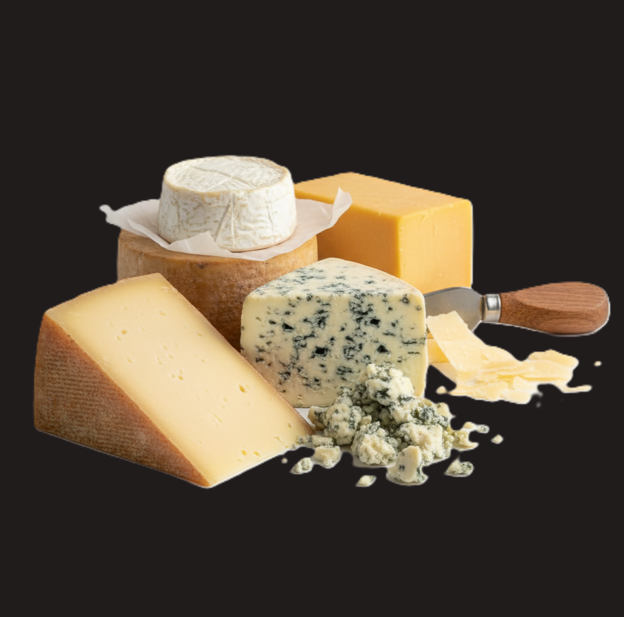 Mejeriprodukter og kræft symboliseret ved forskellige oste. bl.a. blåskimmel. Sort baggrund.