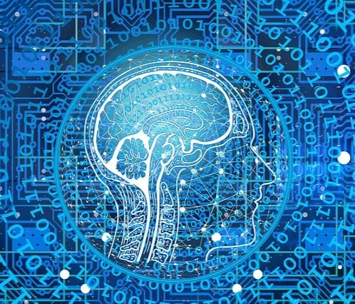 Optimer fordøjelse og tarmflora symboliseret ved et blåt billede med en hjerne tegnet med lys streg og tekst stående i cirkler omkring denne.