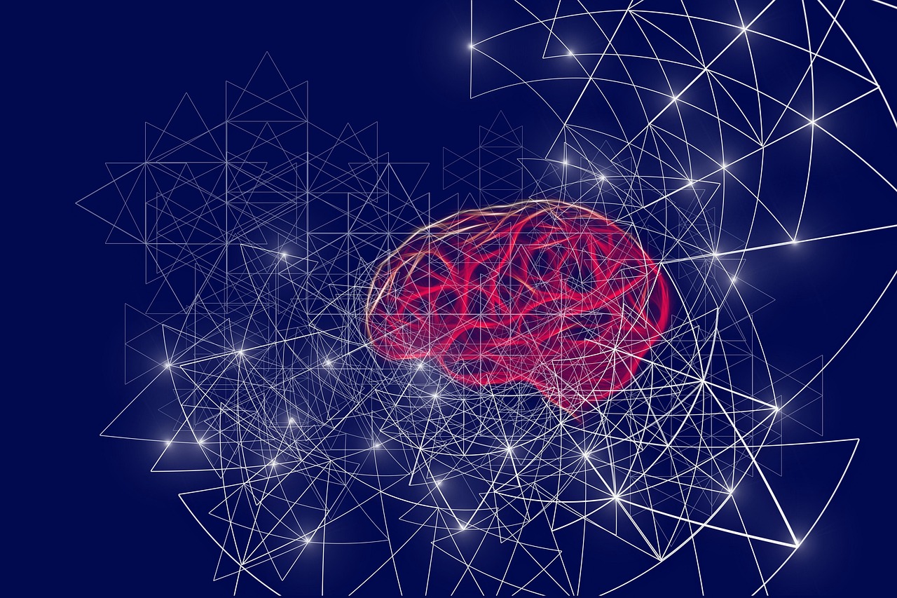 Styrk hjernefunktionen symboliseret ved nogle lilla-røde viklinger, der har form som en hjerne og derfra et tæt net af tynde forgreninger med lysende skæringspunkter. Mørk blå baggrund.