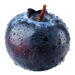 Antioxidanter - for og imod symboliseret ved et enkelt blåbær.