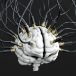 EEG, Elektroencefalografi symboliseret ved model af en hjerne med elektroder jævnt fordelt. Sort baggrund.