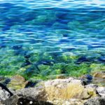 Galdegangskræft symboliseret ved klippeforgrund, og grøn-blåt hav bag denne.