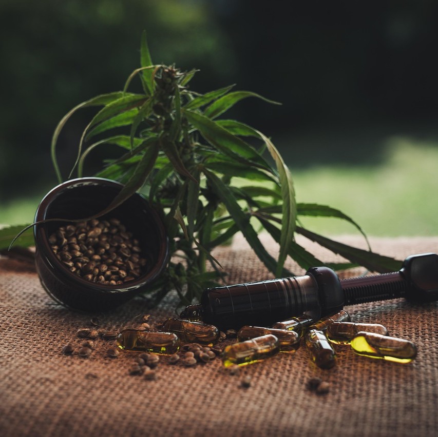 Hampefrø symboliseret ved en hampplante, en skål med hampefrø og en pistil, samt nogle kapsler. Det hele ligger på et bord.