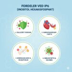 IP6 - Inositol Hexaphosphate Fytinsyre symboliseret ved hvide cirkler med beskrivende fugurer som knogler, hjerte, kar og immunforsvar. Lyseblå baggrund.