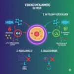 MSM. Methylsulfonylmethan - svovl - symboliseret ved en planche med nogle symboler for virkning. Orange cirkel i midten. Grøn og lilla tonet baggrund.