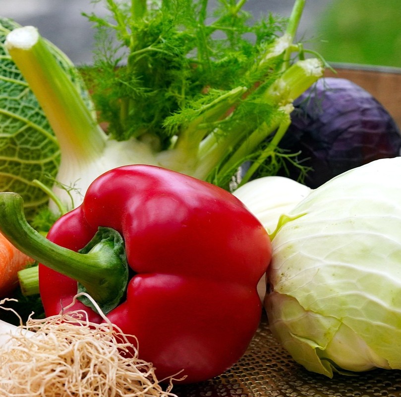 Makronæringsstoffer og kræft symboliseret ved grøntsager - Rød peber, hvidkålshoved, rødkålshoved, fennikel, bønnespirer, persille, gulerødder.