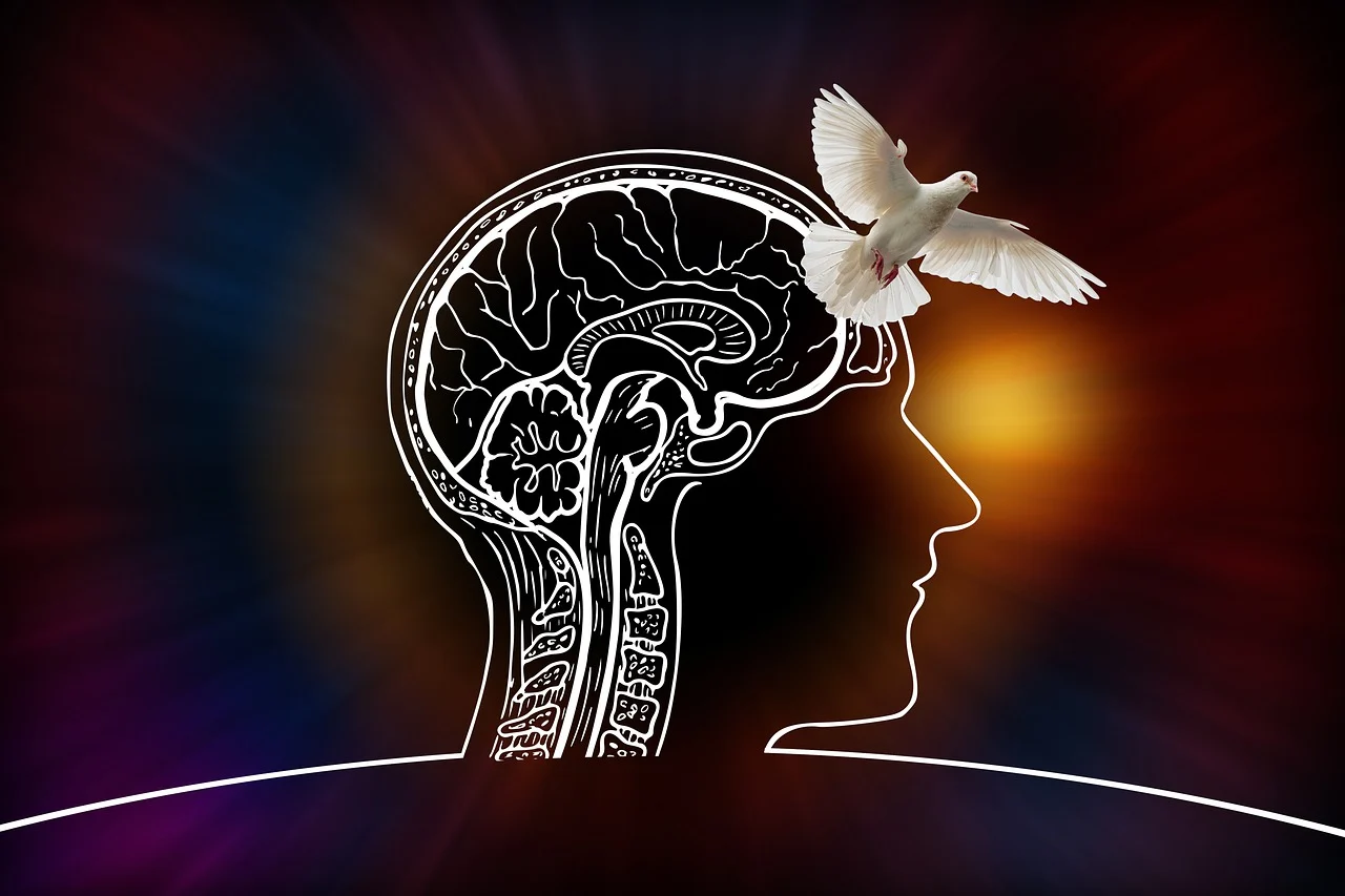 Neurologisk undersøgelse symboliseret ved skitse af et ansigt set i profil. Man ser hjernen og det øverste af rygmarven. Og en hvid fugl der flyver over panden. Mørk baggrund.