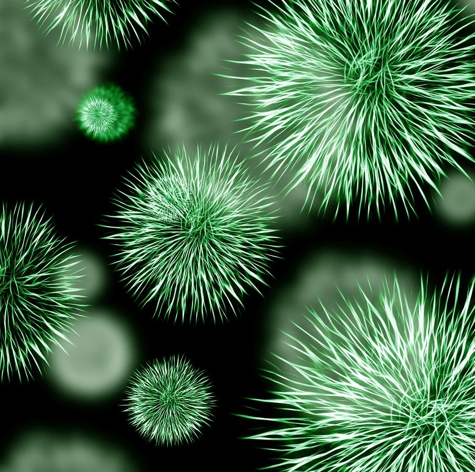 Neutropeni - lavt immunforsvar - symboliseret ved grønne bakterier med masser af lyse pigge.