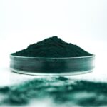 Spirulina symboliseret ved grønt spirulina pulver i en petriskål og lidt pulver på bordet foran dette.