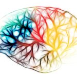 Ependymom symboliseret ved farvede streger af kar fra hjernen.