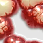 Cytologisk undersøgelse symboliseret ved nogle store røde cellelignende formationer på hvid baggrund.