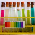 Elektrolytter symboliseret ved en række reagensglas med farvede væsker. Alle med propper. Foran reagenspapir.