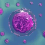 Histologisk undersøgelse symboliseret ved en rosa celle i midten og mindre omkring denne. Blå baggrund.