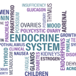 Thymusekstrakt symboliseret ved tekster med navne fra endokrine system. Herunder Thymus.