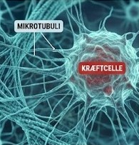 Joe Tippens Protokol symboliseret ved turkis strenget cellestruktur.