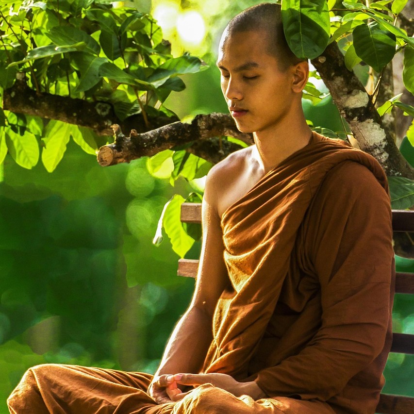 Misha Sakharoffs Protokol symboliseret ved en buddhistisk munk der mediterer under et træ.