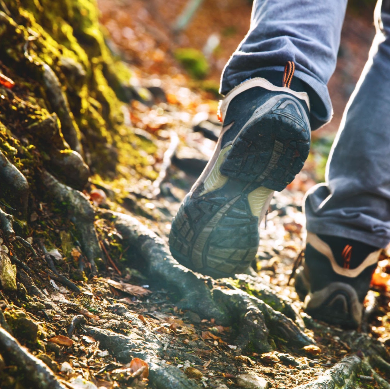 Misha Sakharoffs Protokol symboliseret ved ben med løbesko på en naturvej.